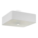 d719d80b2e1eb64443a7b3843456f923
