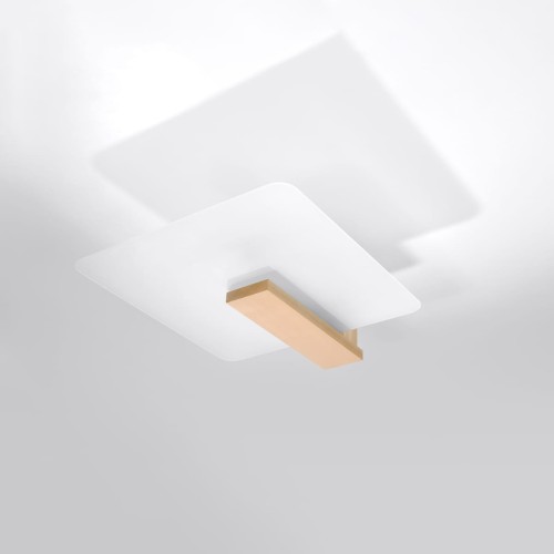 13b2828c876f5aa5f6134fd2f9b82713