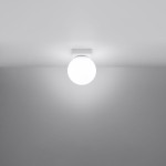 b292b2f880c3d111e12da8a44e72295e