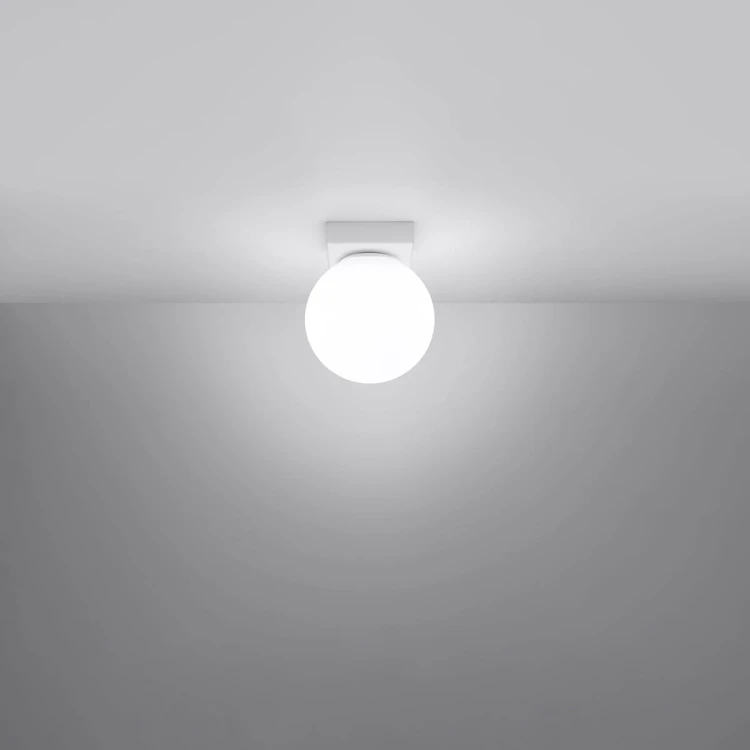 b292b2f880c3d111e12da8a44e72295e