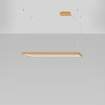 ae39c5cc2bfd1ecbf5001046f4d382e7