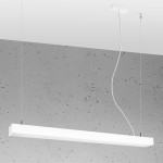 d6b13495a156337ce6323ba901ecedc2