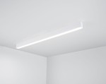 2a0d298477bcd22ed7910c0a0d1c6781