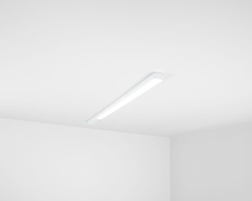 b8c3cec3ff6215e201f3661428ab7305