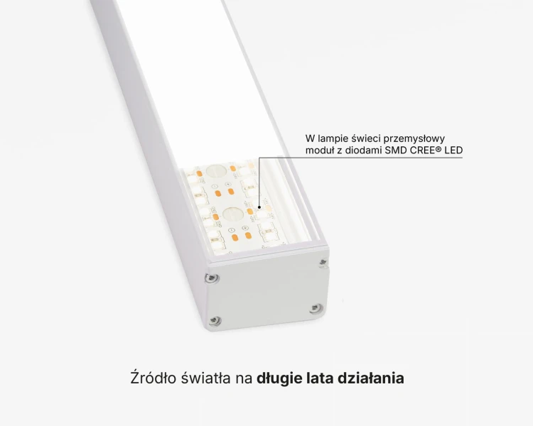933d9250576737210cc568ed59ecb817